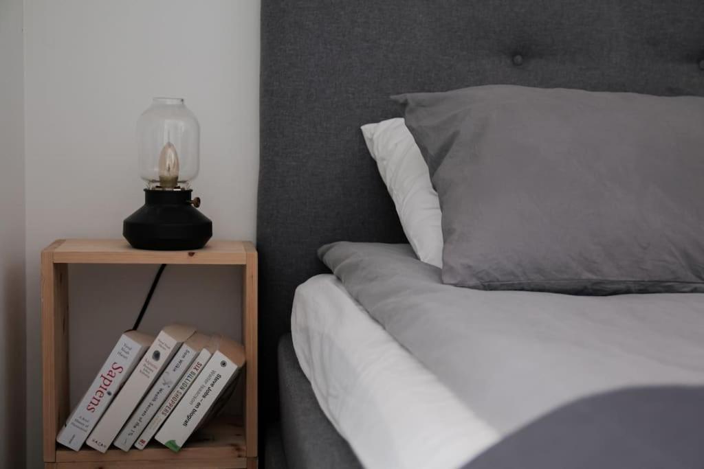شقة Cozy Penthouse Loft - Near The Airport فانتا المظهر الخارجي الصورة